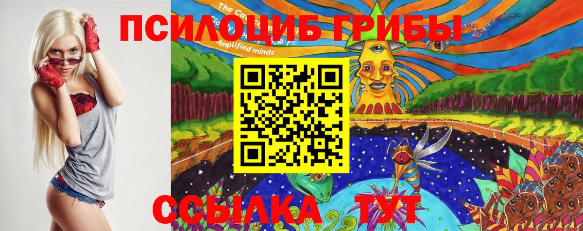 Псилоцибиновые грибы мухоморы Псков