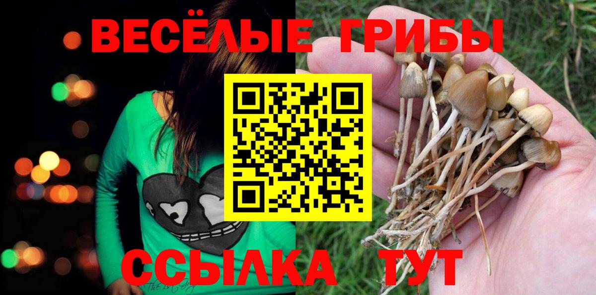 Псков  Псилоцибиновые грибы Psilocybe  даркнет сайт  Вход с VPN 